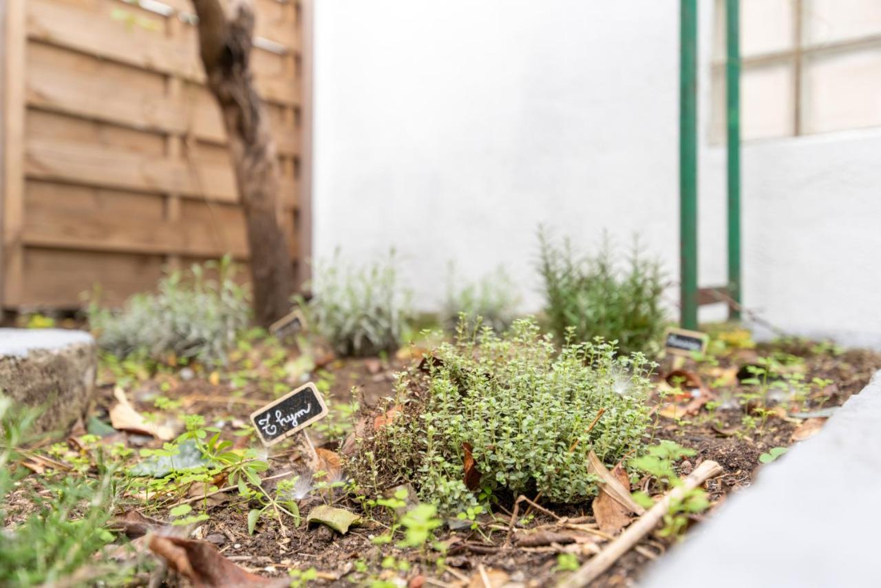 Studio Blancarde Terrasse Parking Clim Marseille Ngoại thất bức ảnh